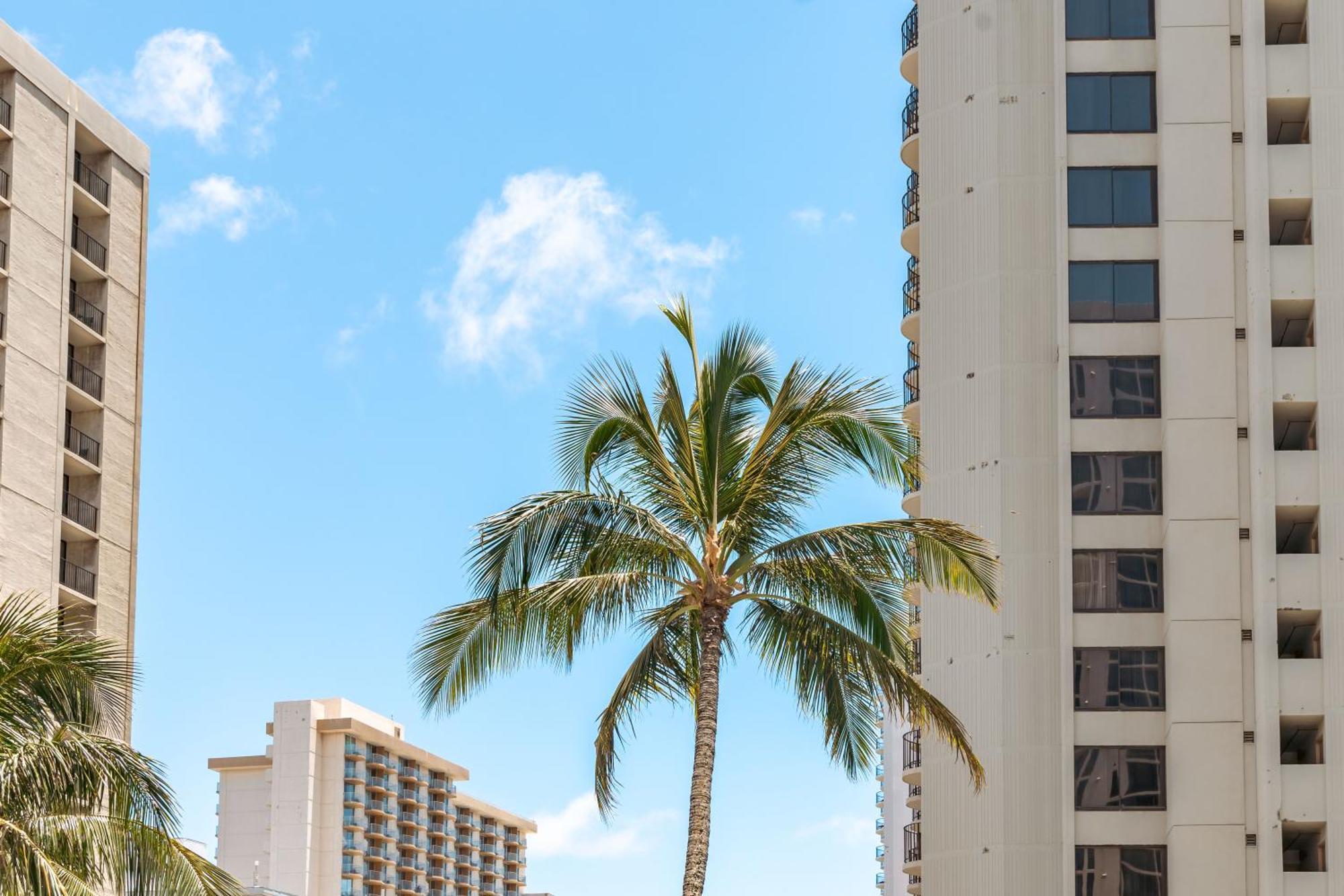 Tropical Bliss, Mountain View Condo Near Waikiki Beach With Free Parking Honolulu Bagian luar foto